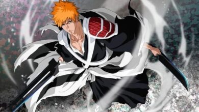 شرح نهاية انمي Bleach Thousand-Year Blood War