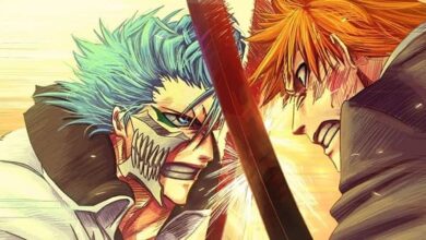 أفضل المعارك في أنمي Bleach بالترتيب